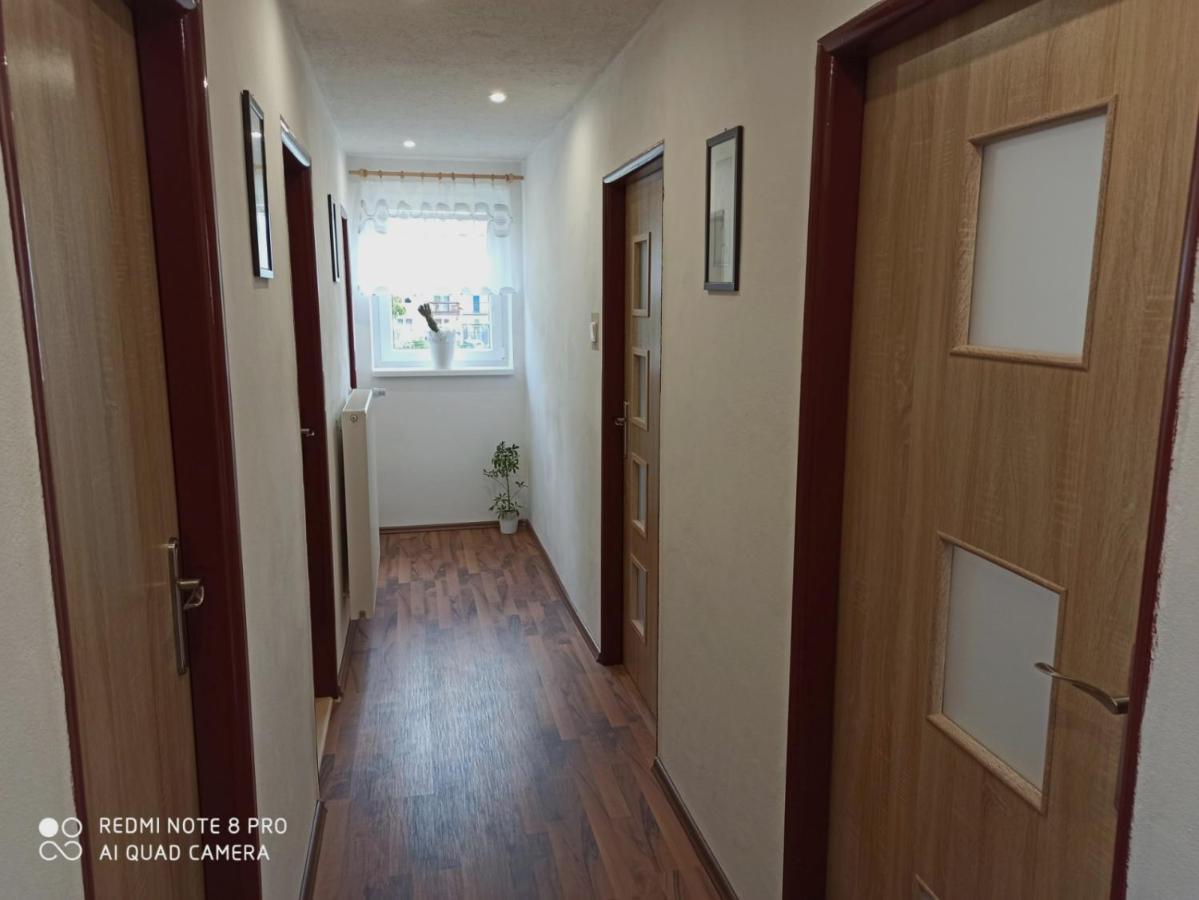 Apartman U Vrbu Černá v Pošumaví Eksteriør billede