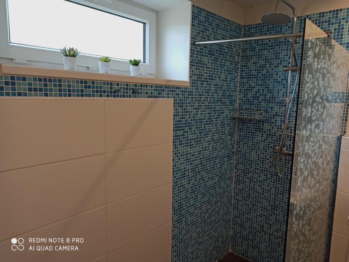 Apartman U Vrbu Černá v Pošumaví Eksteriør billede